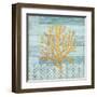 Clearwater Coral III-Paul Brent-Framed Art Print