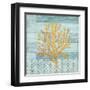 Clearwater Coral III-Paul Brent-Framed Art Print