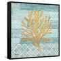 Clearwater Coral III-Paul Brent-Framed Stretched Canvas