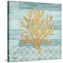 Clearwater Coral III-Paul Brent-Stretched Canvas