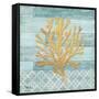 Clearwater Coral III-Paul Brent-Framed Stretched Canvas