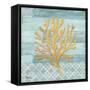 Clearwater Coral III-Paul Brent-Framed Stretched Canvas
