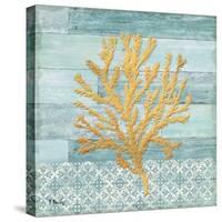 Clearwater Coral III-Paul Brent-Stretched Canvas