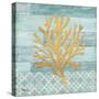 Clearwater Coral III-Paul Brent-Stretched Canvas