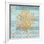 Clearwater Coral III-Paul Brent-Framed Art Print