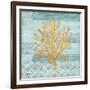 Clearwater Coral III-Paul Brent-Framed Art Print