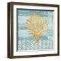 Clearwater Coral IV-Paul Brent-Framed Art Print