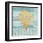 Clearwater Coral IV-Paul Brent-Framed Art Print