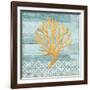 Clearwater Coral IV-Paul Brent-Framed Art Print