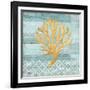 Clearwater Coral IV-Paul Brent-Framed Art Print