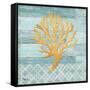 Clearwater Coral IV-Paul Brent-Framed Stretched Canvas