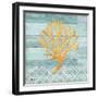 Clearwater Coral IV-Paul Brent-Framed Art Print