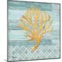 Clearwater Coral IV-Paul Brent-Mounted Art Print