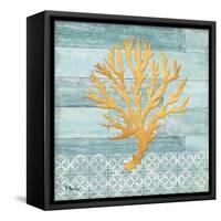 Clearwater Coral IV-Paul Brent-Framed Stretched Canvas