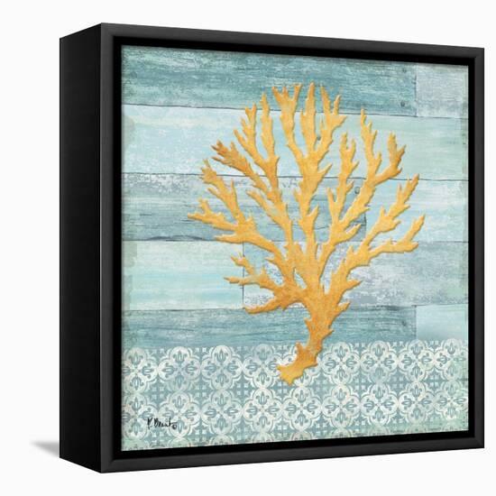 Clearwater Coral IV-Paul Brent-Framed Stretched Canvas