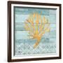 Clearwater Coral IV-Paul Brent-Framed Art Print