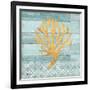 Clearwater Coral IV-Paul Brent-Framed Art Print