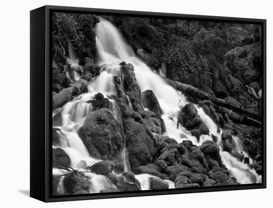 Clearwater Falls-Steve Terrill-Framed Stretched Canvas