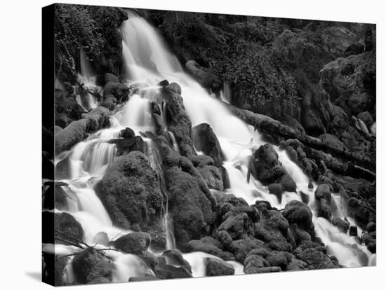 Clearwater Falls-Steve Terrill-Stretched Canvas