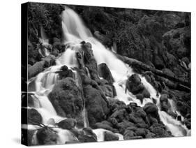 Clearwater Falls-Steve Terrill-Stretched Canvas