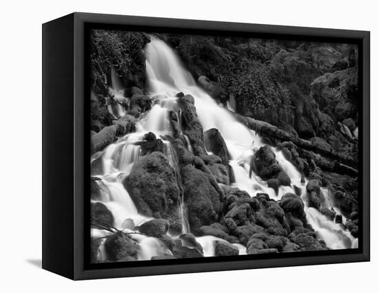 Clearwater Falls-Steve Terrill-Framed Stretched Canvas