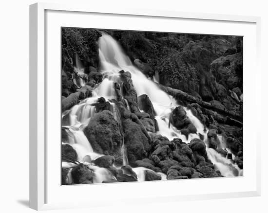 Clearwater Falls-Steve Terrill-Framed Photographic Print