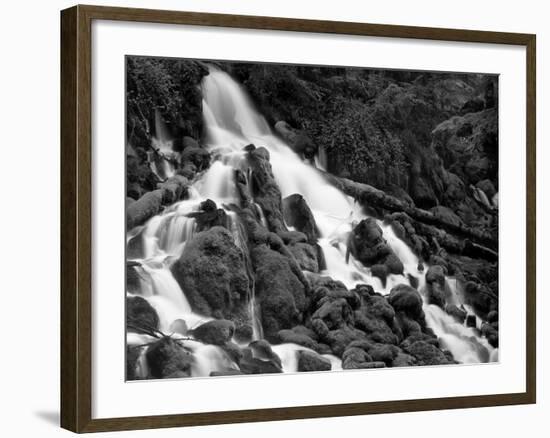 Clearwater Falls-Steve Terrill-Framed Photographic Print