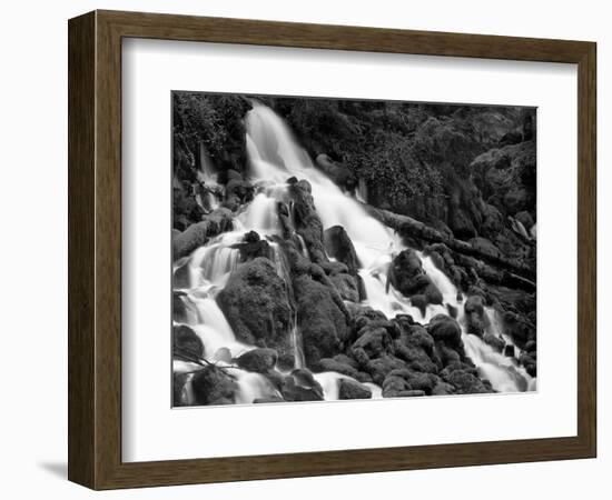 Clearwater Falls-Steve Terrill-Framed Photographic Print