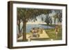 Clearwater, Tampa, Florida-null-Framed Art Print