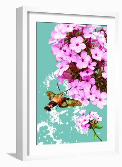 Clearwing On Flox-Evelia Designs-Framed Art Print