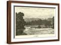 Brown Frame