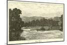Wood Mount