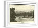 White Frame