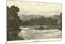 Wood Mount