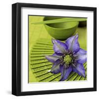 Clematile et Eventail-Catherine Beyler-Framed Art Print