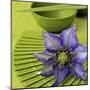 Clematile et Eventail-Catherine Beyler-Mounted Art Print