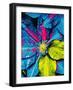 Clematis Abstract-Heidi Bannon-Framed Photo