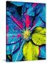 Clematis Abstract-Heidi Bannon-Stretched Canvas