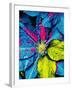 Clematis Abstract-Heidi Bannon-Framed Photo