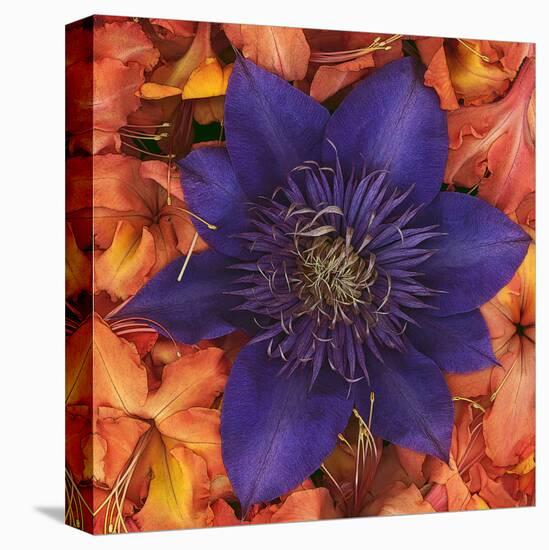 Clematis and Azeleas-null-Stretched Canvas