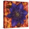 Clematis and Azeleas-null-Stretched Canvas