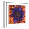 Clematis and Azeleas-null-Framed Art Print