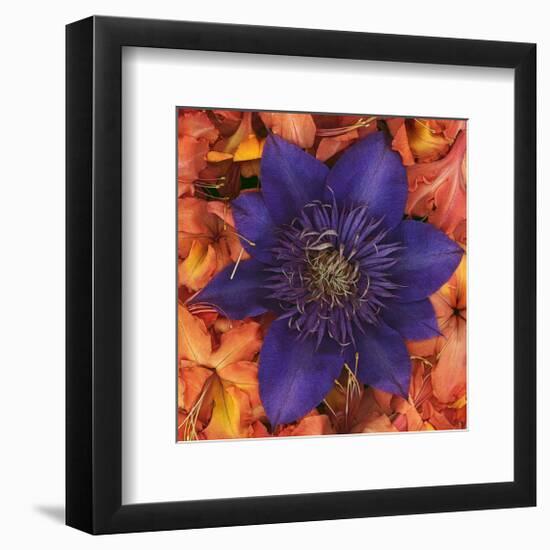 Clematis and Azeleas-null-Framed Art Print