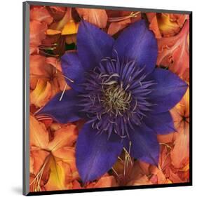Clematis and Azeleas-null-Mounted Art Print