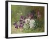 Clematis and Honeysuckle-Albert Tibulle de Furcy Lavault-Framed Giclee Print