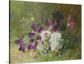 Clematis and Honeysuckle-Albert Tibulle de Furcy Lavault-Stretched Canvas