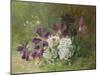 Clematis and Honeysuckle-Albert Tibulle de Furcy Lavault-Mounted Giclee Print