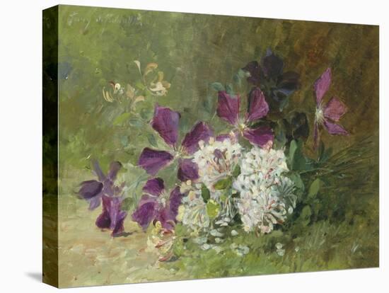 Clematis and Honeysuckle-Albert Tibulle de Furcy Lavault-Stretched Canvas