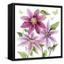 Clematis Climb I-Grace Popp-Framed Stretched Canvas