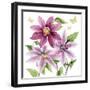 Clematis Climb I-Grace Popp-Framed Art Print